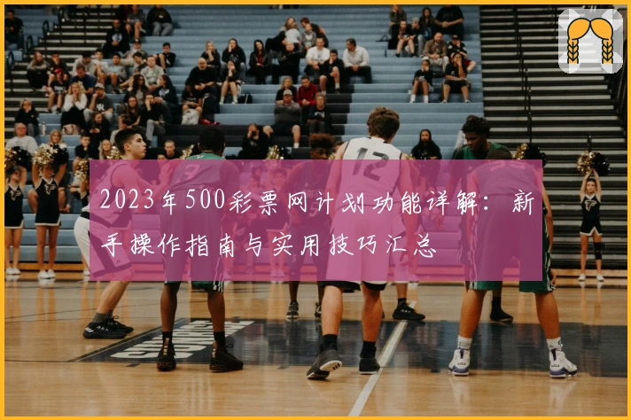2023年500彩票网计划功能详解：新手操作指南与实用技巧汇总